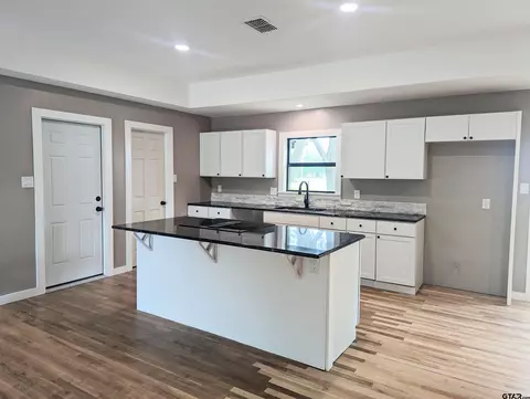 311 E Main, Van, TX 75790 photo 6