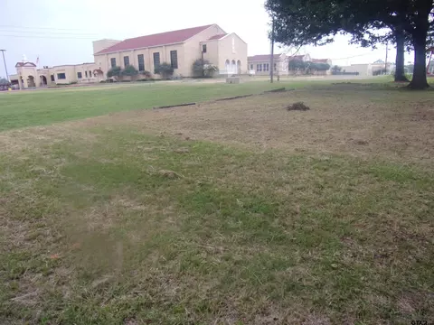311 E Main, Van, TX 75790 photo 25