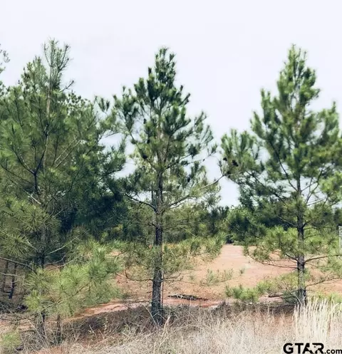 0000 County Road 2864, Hughes Springs, TX 75656