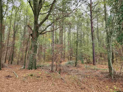 6 County Road 4313, Pittsburg, TX 75686