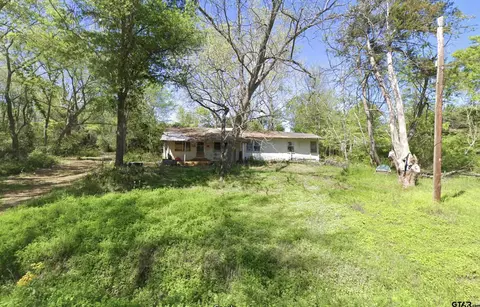 501 W Maffitt St, Palestine, TX 75803