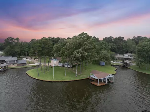 1107 King Lake Dr, Scroggins, TX 75480
