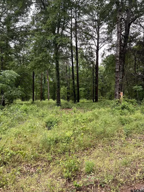 4883 County Road 1405, Jacksonville, TX 75766