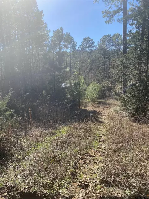 tbd Cr 2404, Rusk, TX 75785