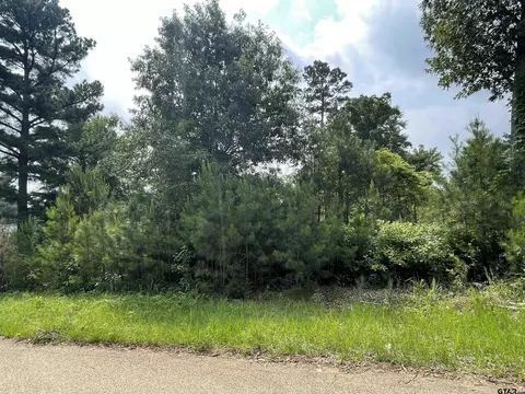 lot25 Cr 3545, Hawkins, TX 75765