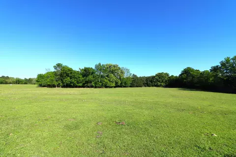 tbd Bison Rd, Gilmer, TX 75644 photo 4