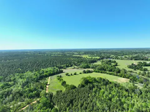 tbd Bison Rd, Gilmer, TX 75644 photo 17