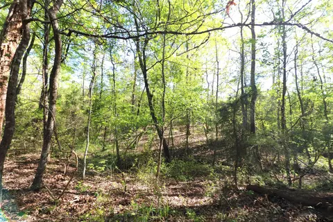 tbd Bison Rd, Gilmer, TX 75644 photo 24