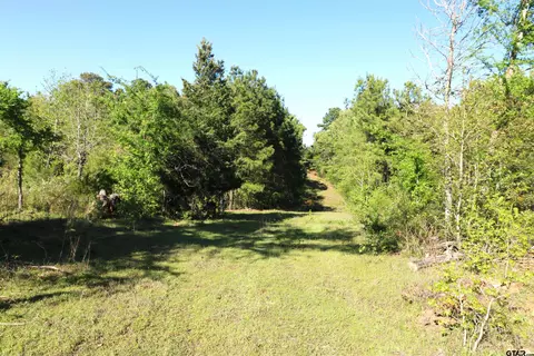 tbd Bison Rd, Gilmer, TX 75644 photo 5