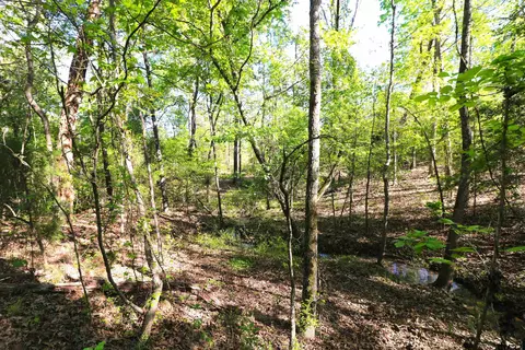 tbd Bison Rd, Gilmer, TX 75644 photo 23