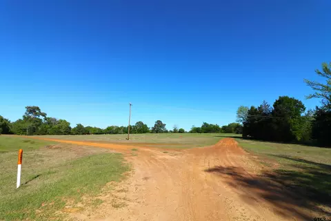 tbd Bison Rd, Gilmer, TX 75644 photo 20