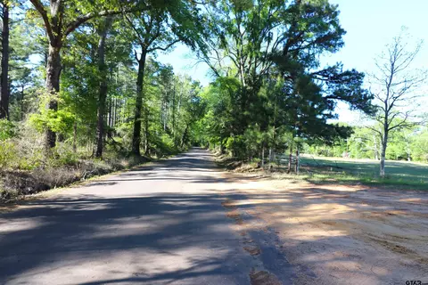 tbd Bison Rd, Gilmer, TX 75644 photo 29