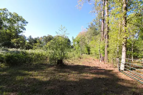 tbd Bison Rd, Gilmer, TX 75644 photo 6
