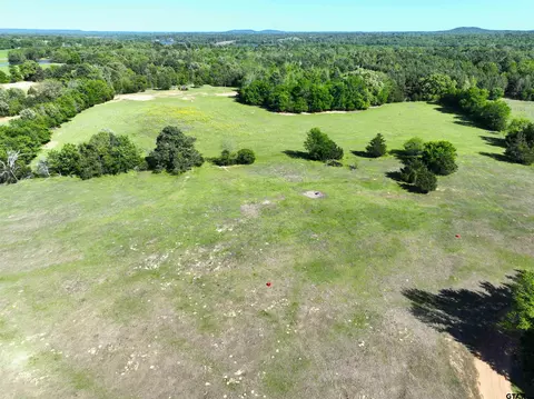 tbd Bison Rd, Gilmer, TX 75644 photo 10