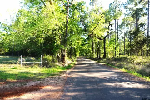 tbd Bison Rd, Gilmer, TX 75644 photo 2