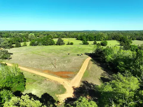 tbd Bison Rd, Gilmer, TX 75644 photo 21