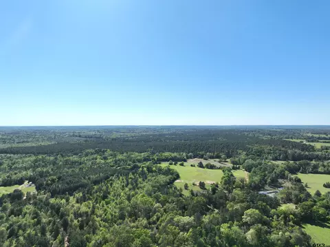 tbd Bison Rd, Gilmer, TX 75644 photo 14