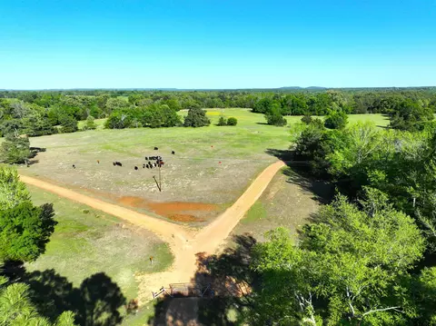 tbd Bison Rd, Gilmer, TX 75644 photo 28
