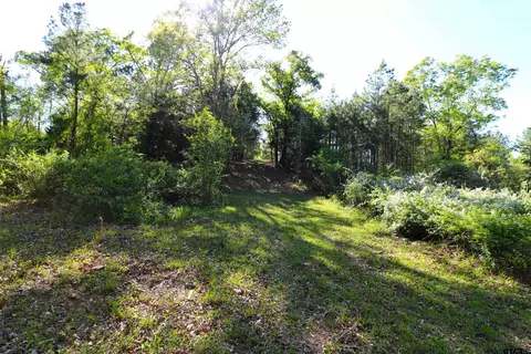 tbd Bison Rd, Gilmer, TX 75644 photo 22