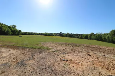 tbd Bison Rd, Gilmer, TX 75644 photo 25