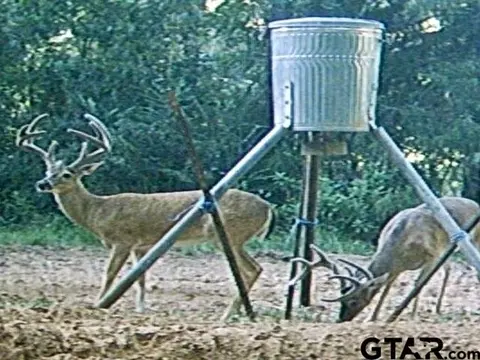 3987 S Fm 747, Jacksonville, TX 75766