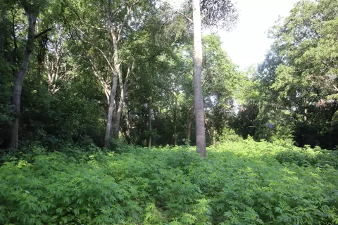 809 815 Boyd Ave, Tyler, TX 75701