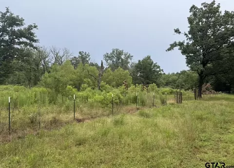 tbd Pr 3081, Mount Pleasant, TX 75455