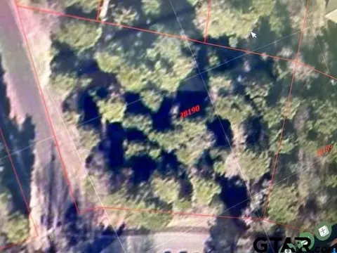 12 County Road 2267, Mineola, TX 75773