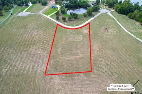lot17 Pr 2724, Mount Pleasant, TX 75455