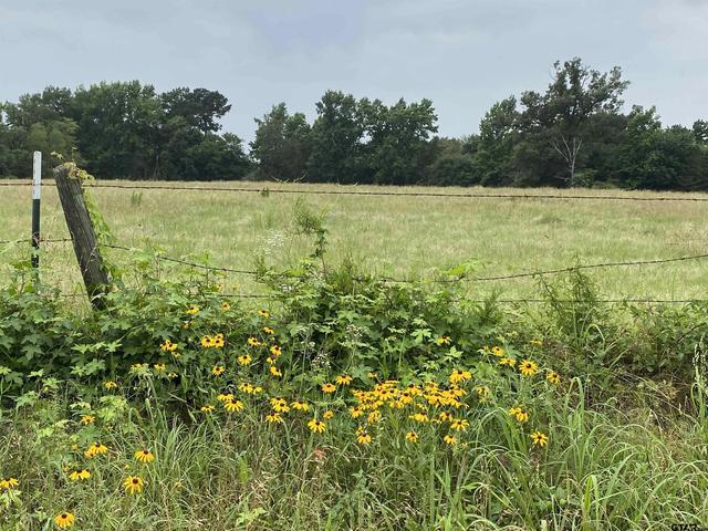 981 Cr 3987, Winnsboro, TX 75494