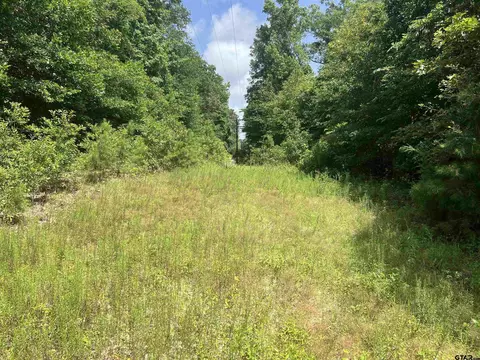 301 Bluebonnet, Avinger, TX 75630