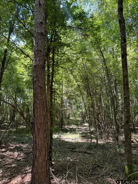 tbd Cr 4335, Bivins, TX 75555
