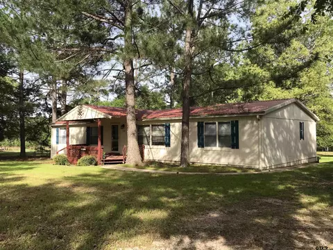 25150 Cr 460, Grand Saline, TX 75140