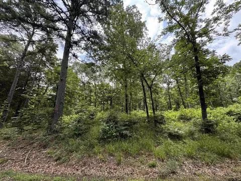 tbd Cr 2275, Mineola, TX 75773