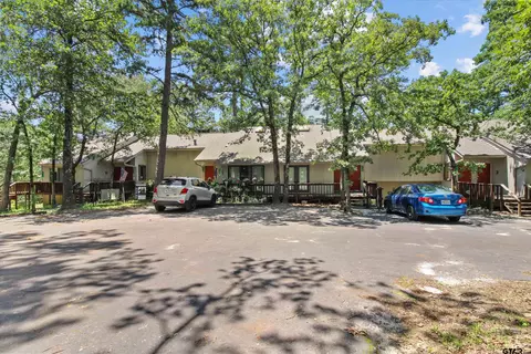 197 Holly Hill Cir, Holly Lake Ranch, TX 75765