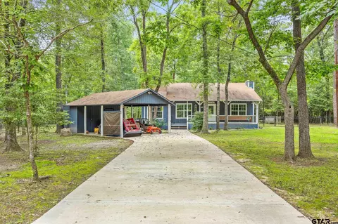 146 Mulberry Cve, Holly Lake Ranch, TX 75765