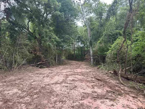 tbd County Road 482, Mount Enterprise, TX 75681