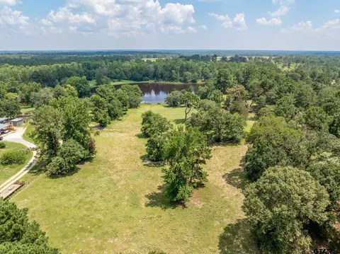 6007 W Fm 227, Grapeland, TX 75844