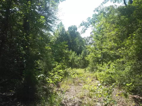 1688 Cr 1597, Avinger, TX 75630