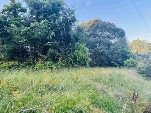 tbd Langham St, Troup, TX 75789