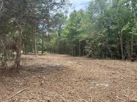 tbd 10 Acres County Road 378, Henderson, TX 75654