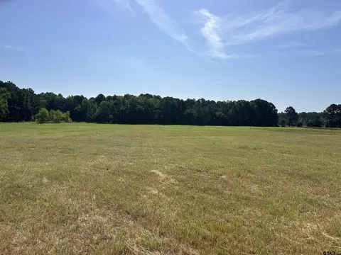 lot1 Highway 135, Troup, TX 75789