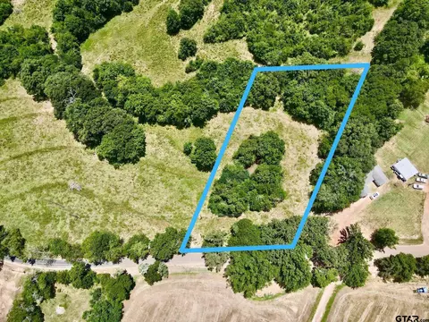 1 NE 3 - Acres Ne Cr 2060, Mount Vernon, TX 75457