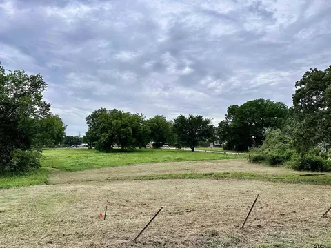 tbd N 000 N Austin St, Edgewood, TX 75117