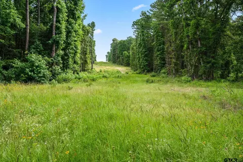 Cr 3147, Tyler, TX 75706