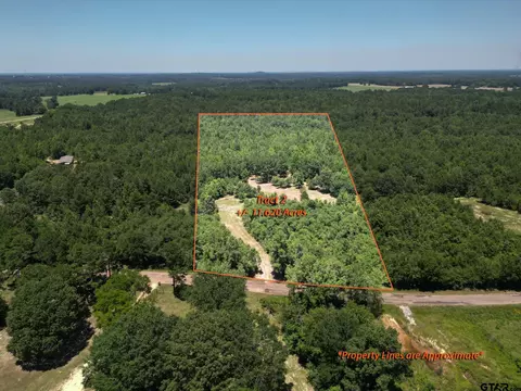 23189 Cr 244 Tract 2, Overton, TX 75684