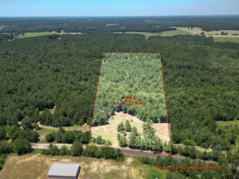 23419 Cr 244 Tract 6, Overton, TX 75684
