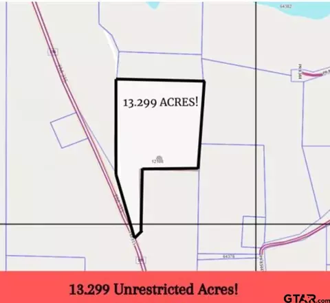 tbd Fm 315, Palestine, TX 75803