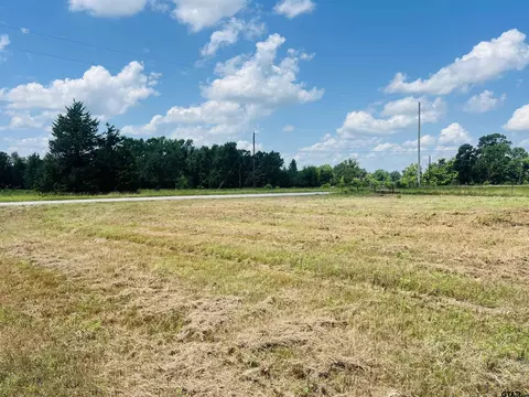tbd Cr 4800, Winnsboro, TX 75494