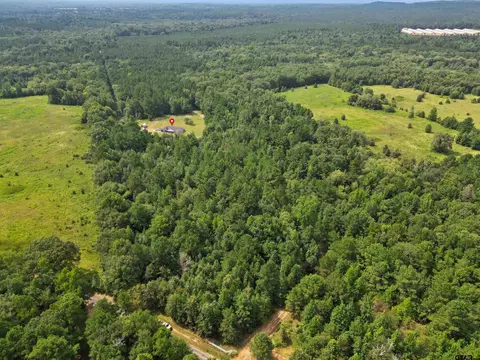 6671 Snapdragon Rd, Ore City, TX 75683 photo 2